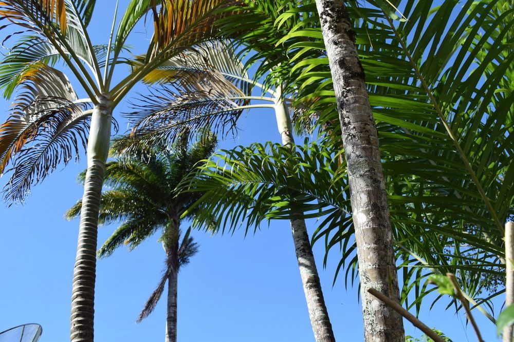 Pousada Sossego Boipeba Velha Boipeba Luaran gambar